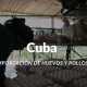 Importación en Cuba de huevos y pollo