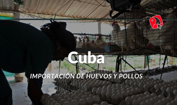 Importación en Cuba de huevos y pollo